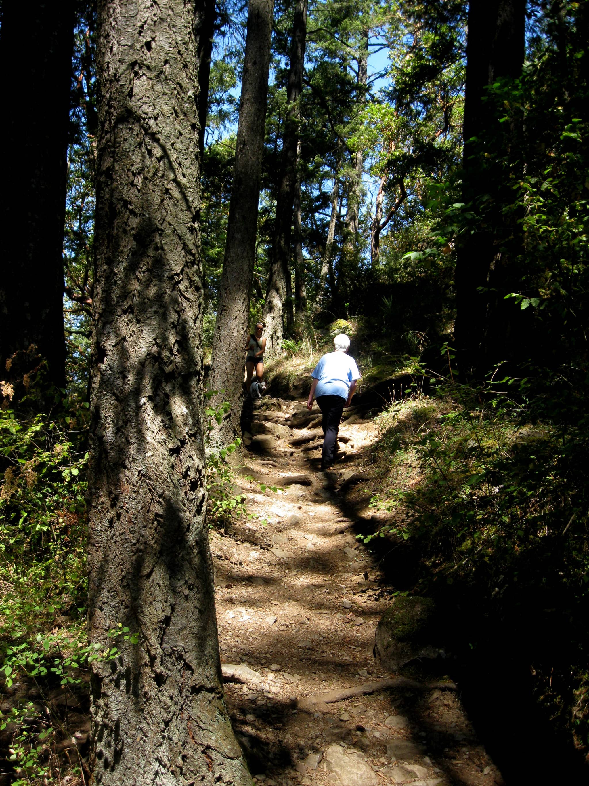 Peaceful Nature Trails