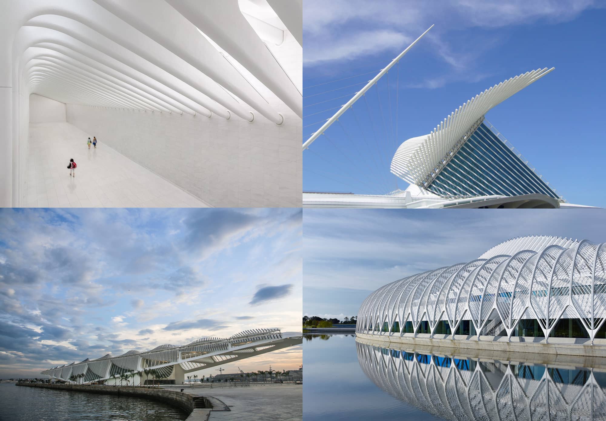 Santiago Calatrava's Architectural Vision