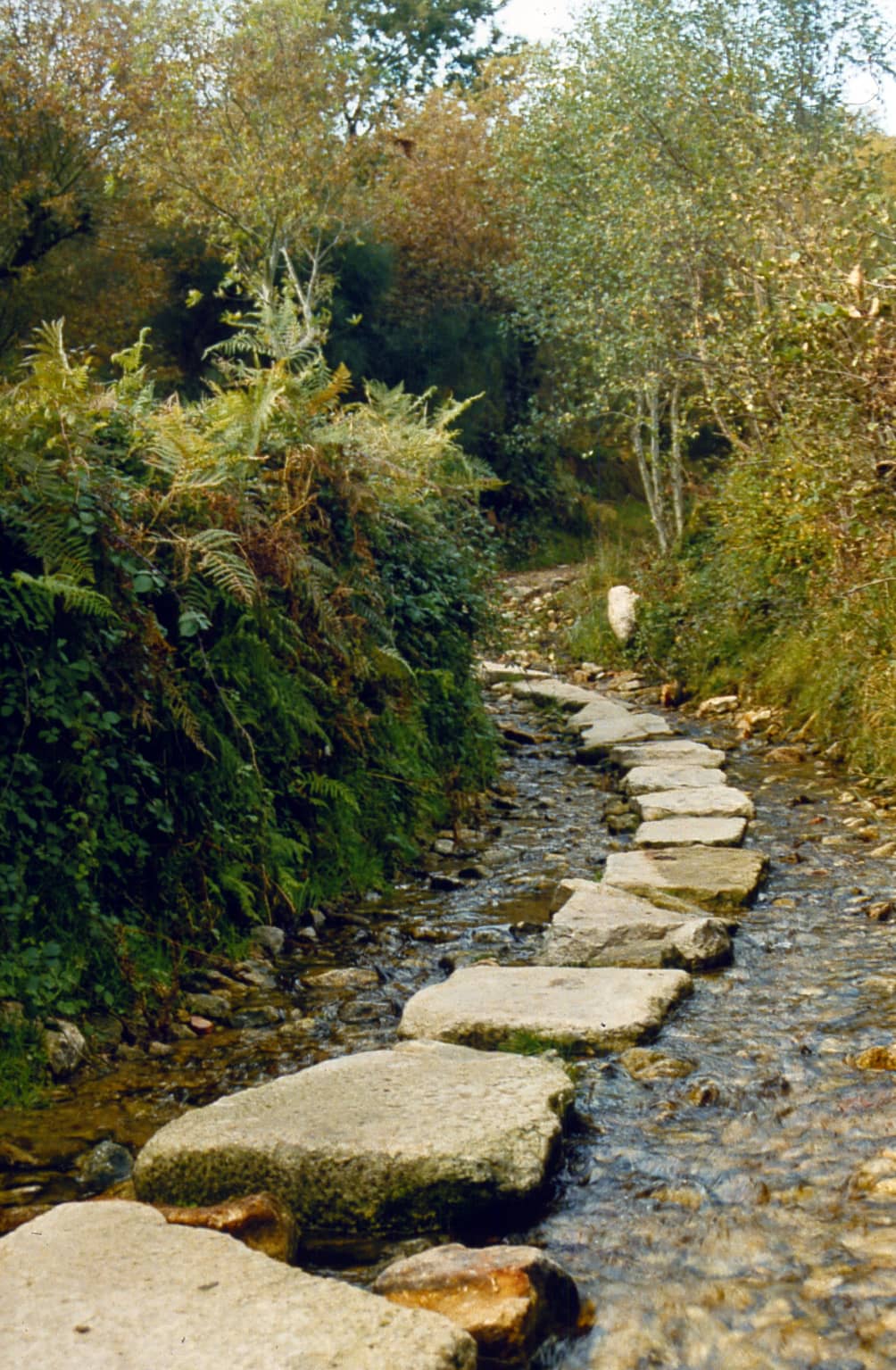 The Sarria Stretch