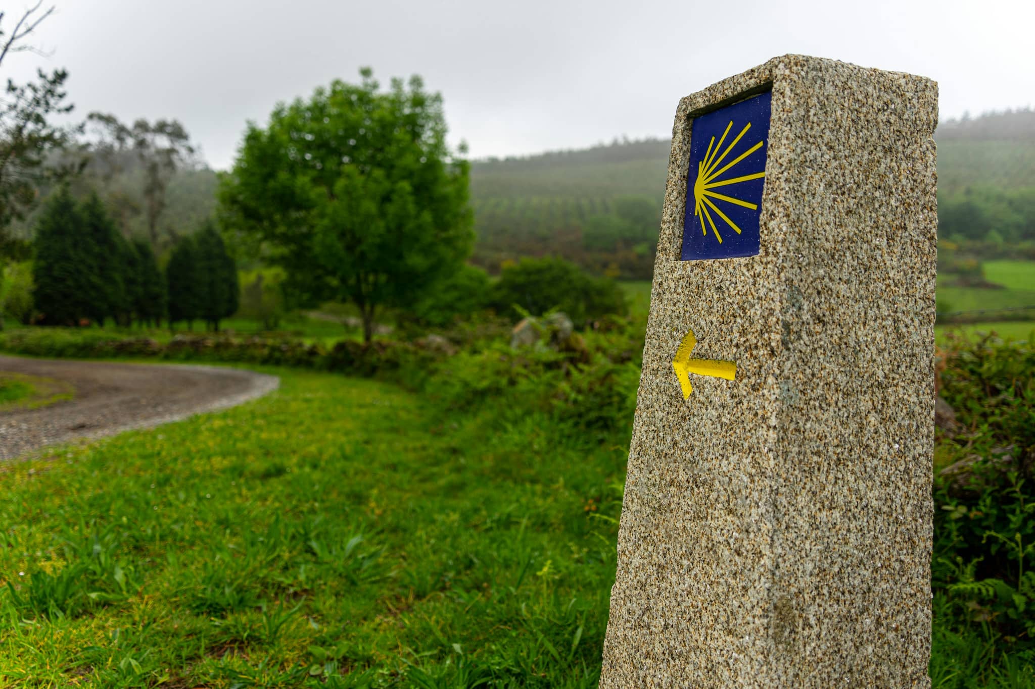 Galician Countryside