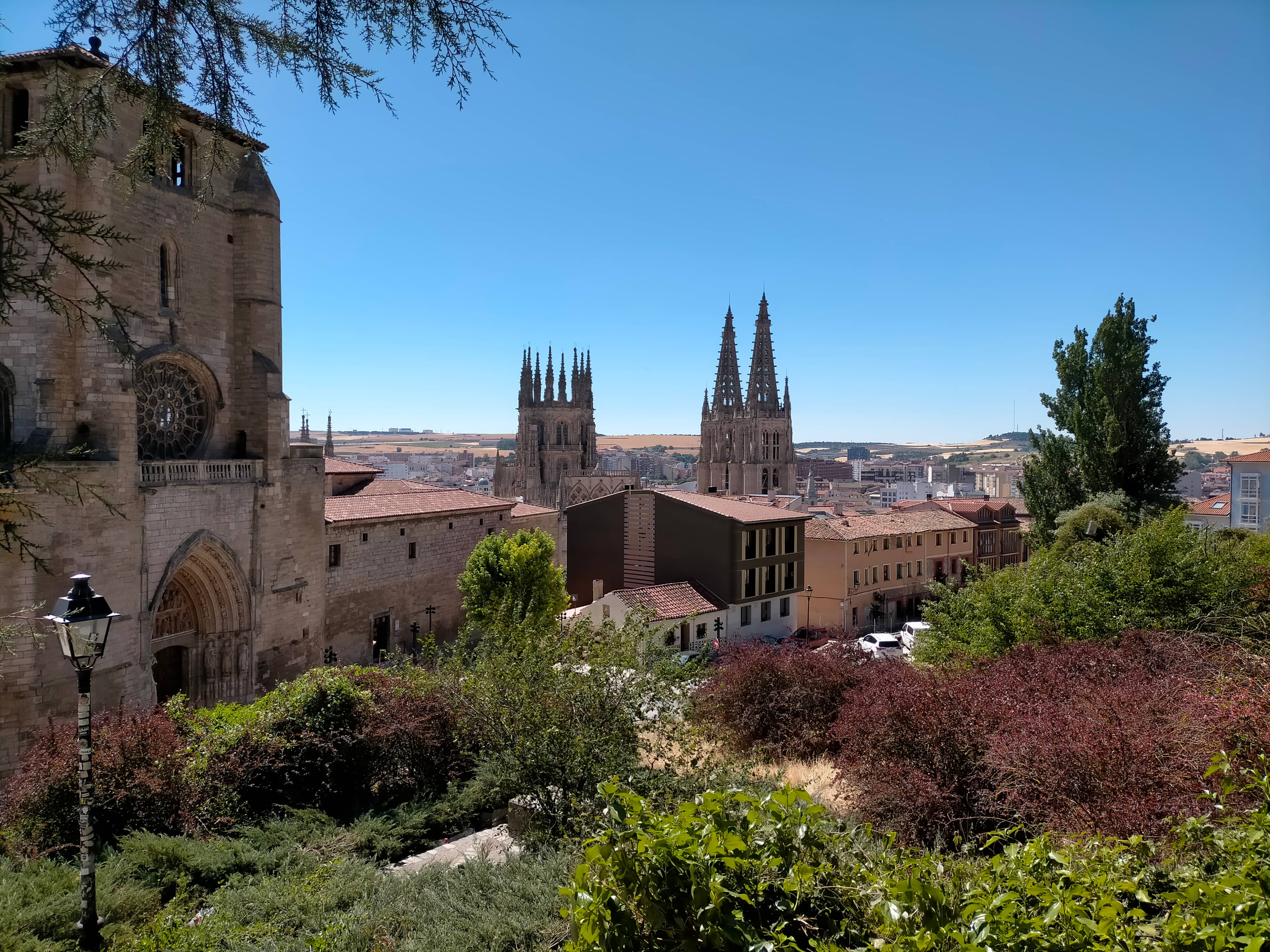 Cathedral Vista