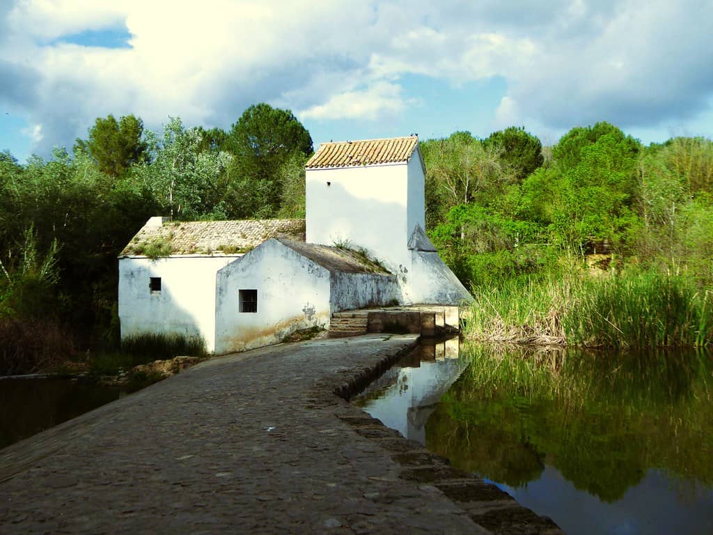 Alberca (Reservoir)