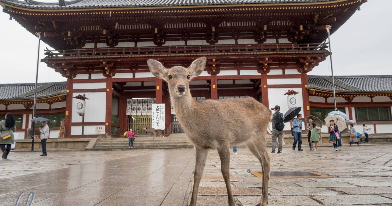 Interactive Exhibits