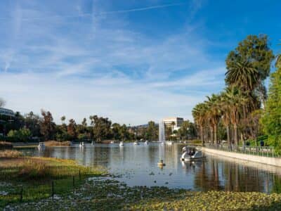 Swan Boats at Echo Lake Park