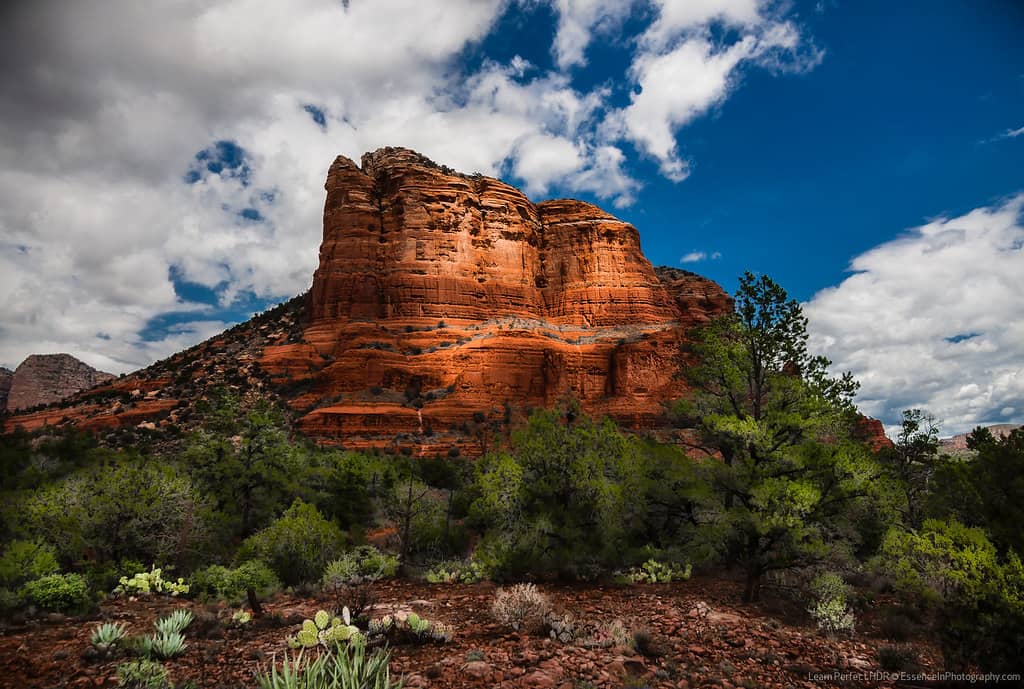 Star Trails Over Courthouse Butte