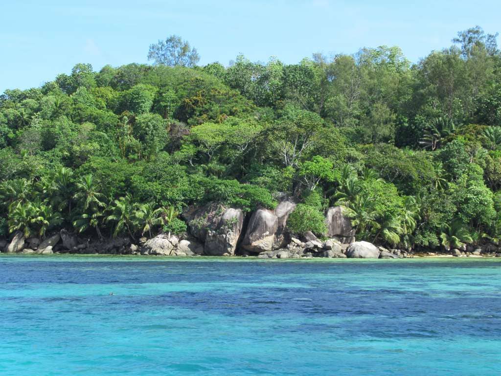 Glass Bottom Boat Tours