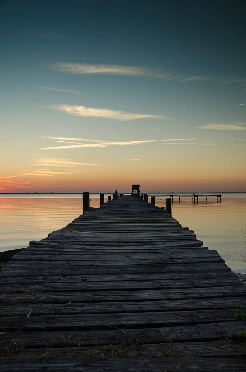 Bay Pier Views