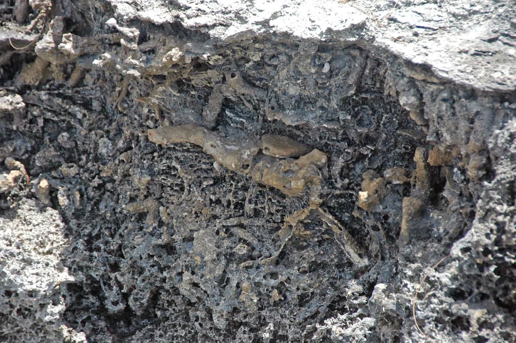 Volcanic Rock Outcrops