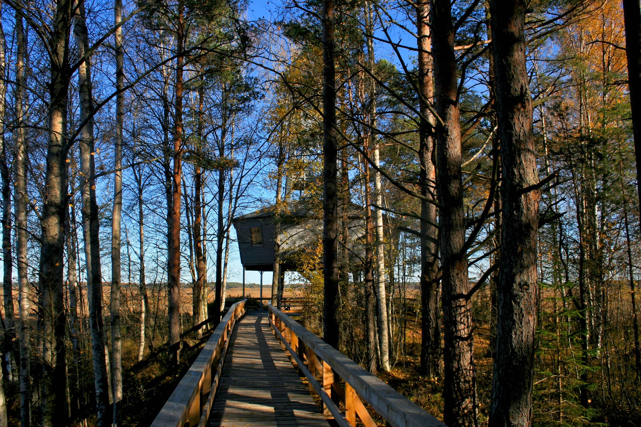 Observation Tower