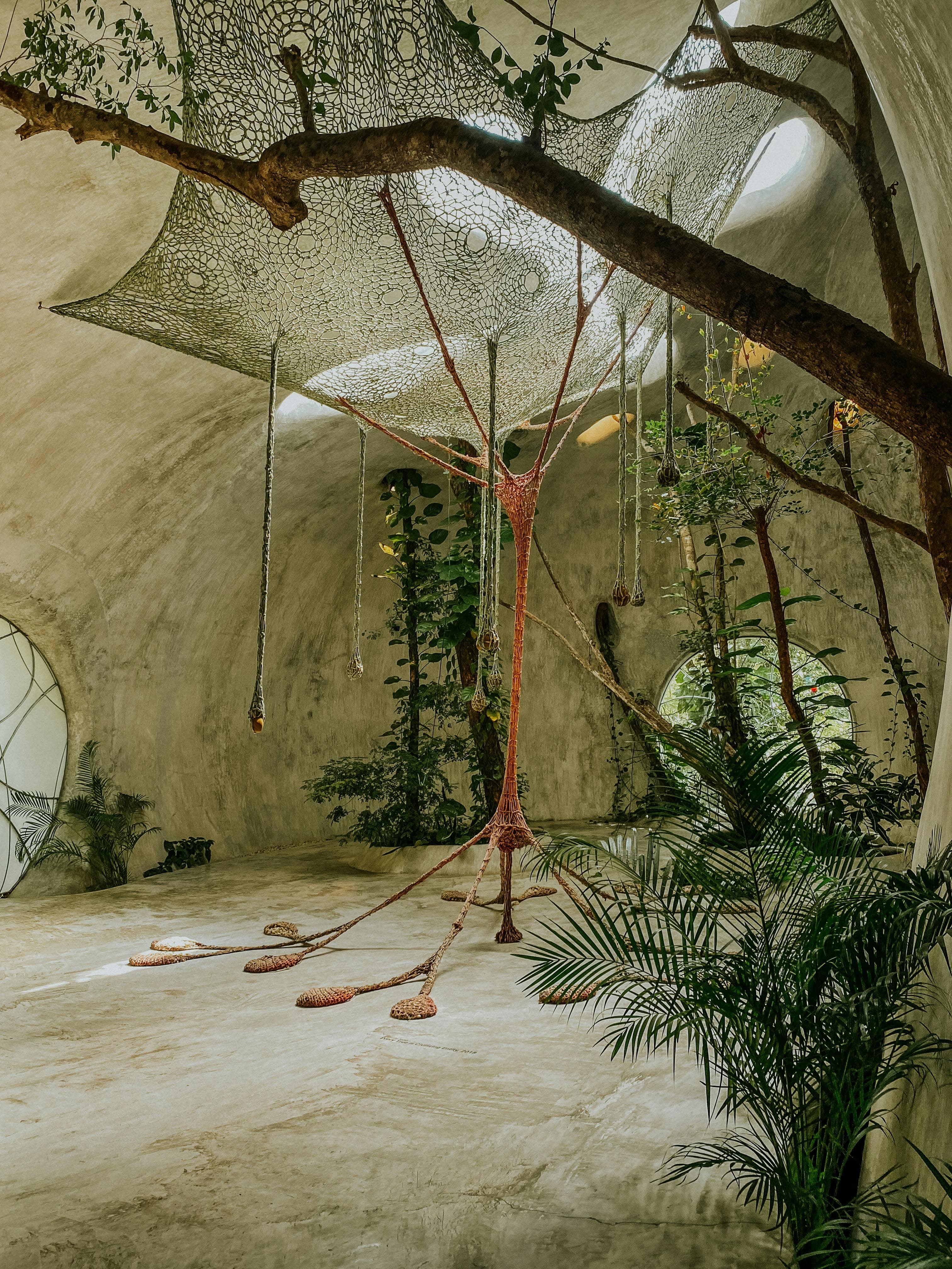 Serene Garden Exploration