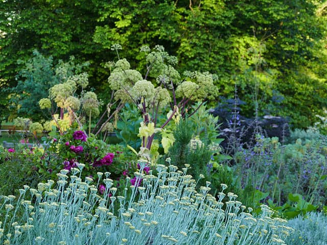 Working Vegetable Plot