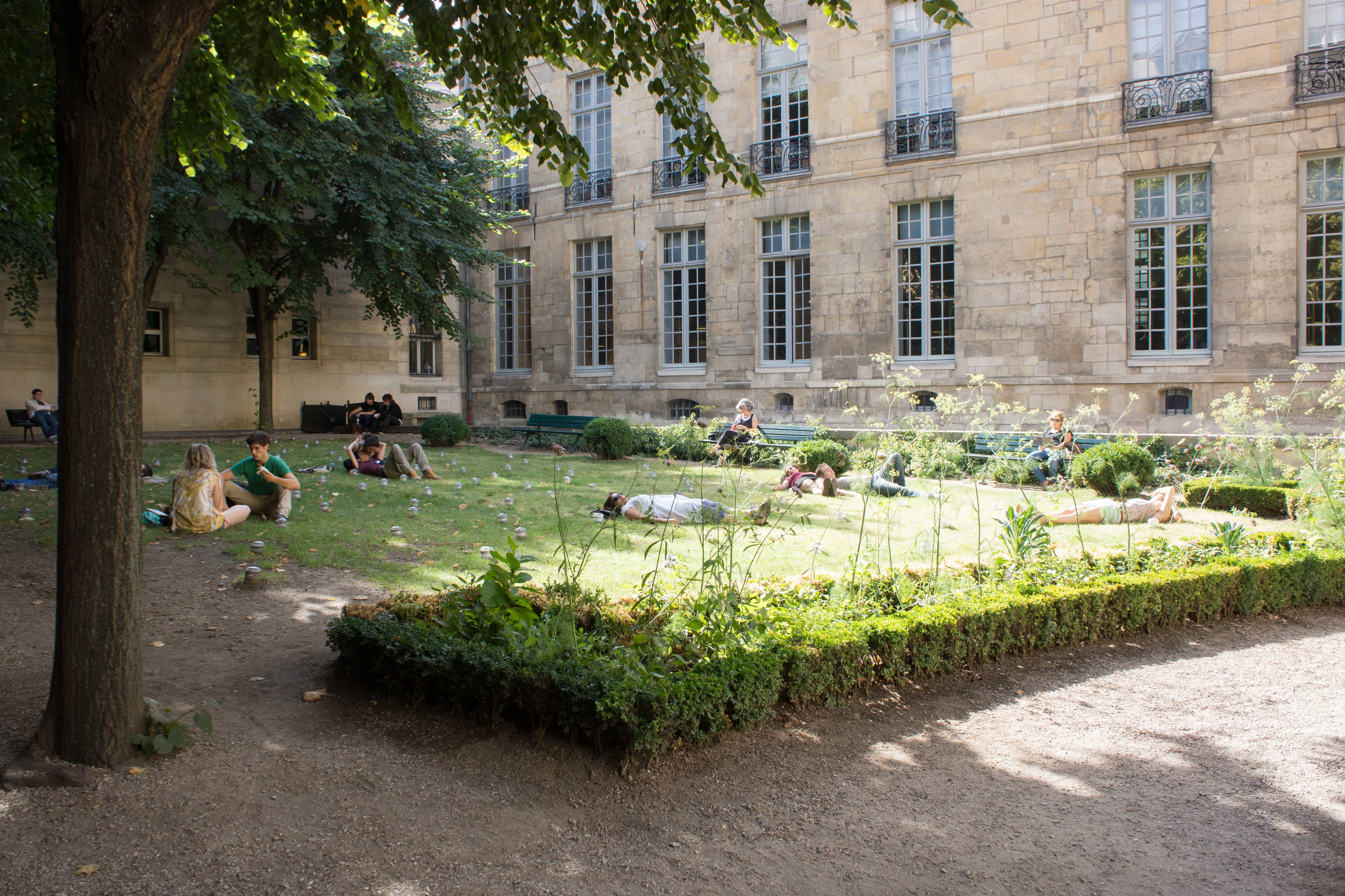 Tranquil Garden Strolls