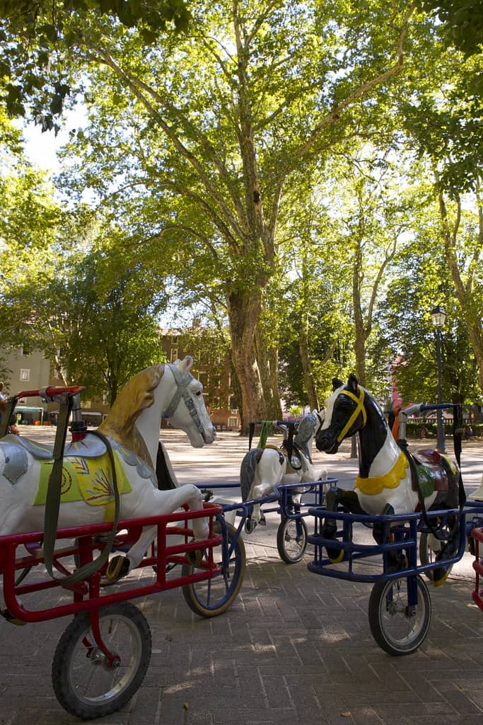 Family Fun Playground