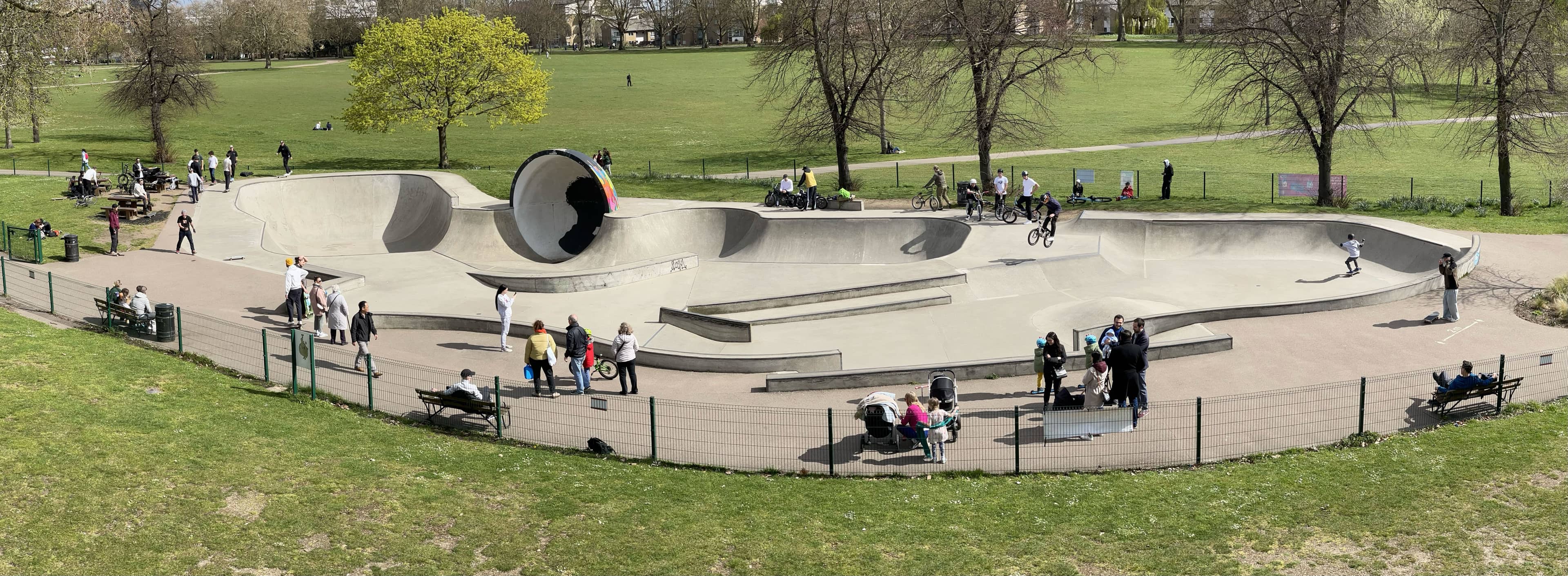 Skate Park & Sports Fields
