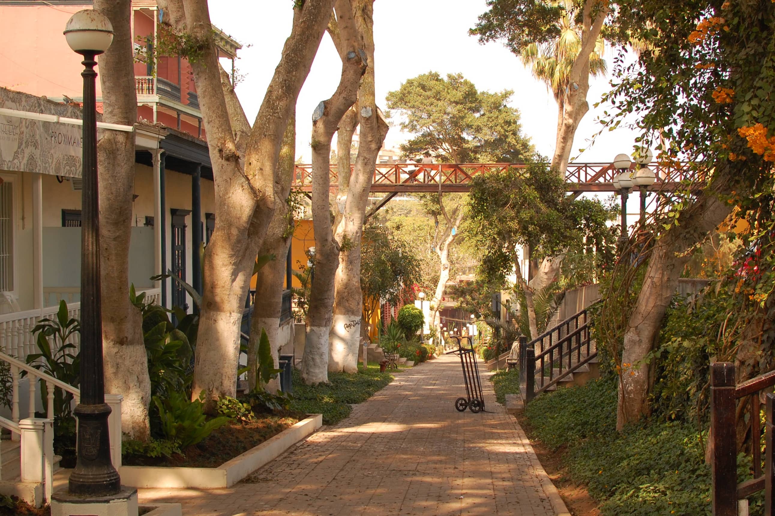 Dedalo Arte y Artesanía