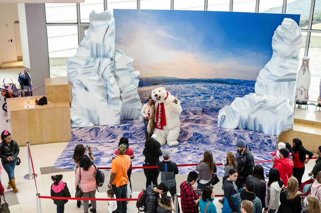 Meet the Coca-Cola Polar Bear