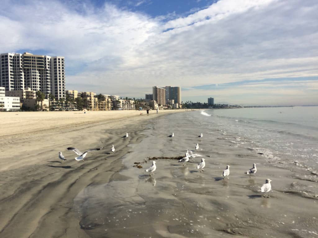 Coastal Strolls