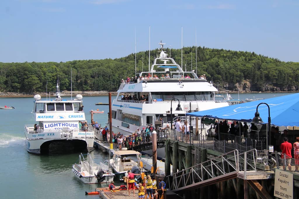 Coastal Scenery & Wildlife