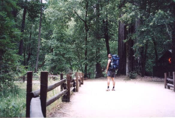 Dog-Friendly Exploration