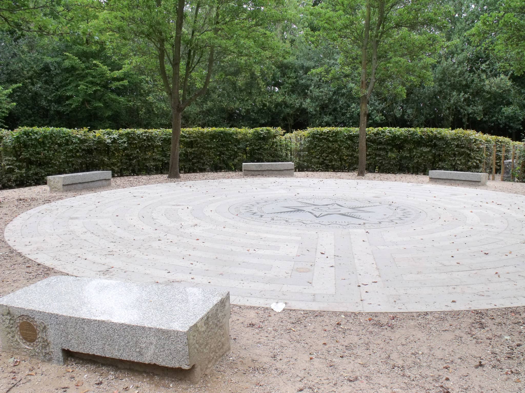 The Maze