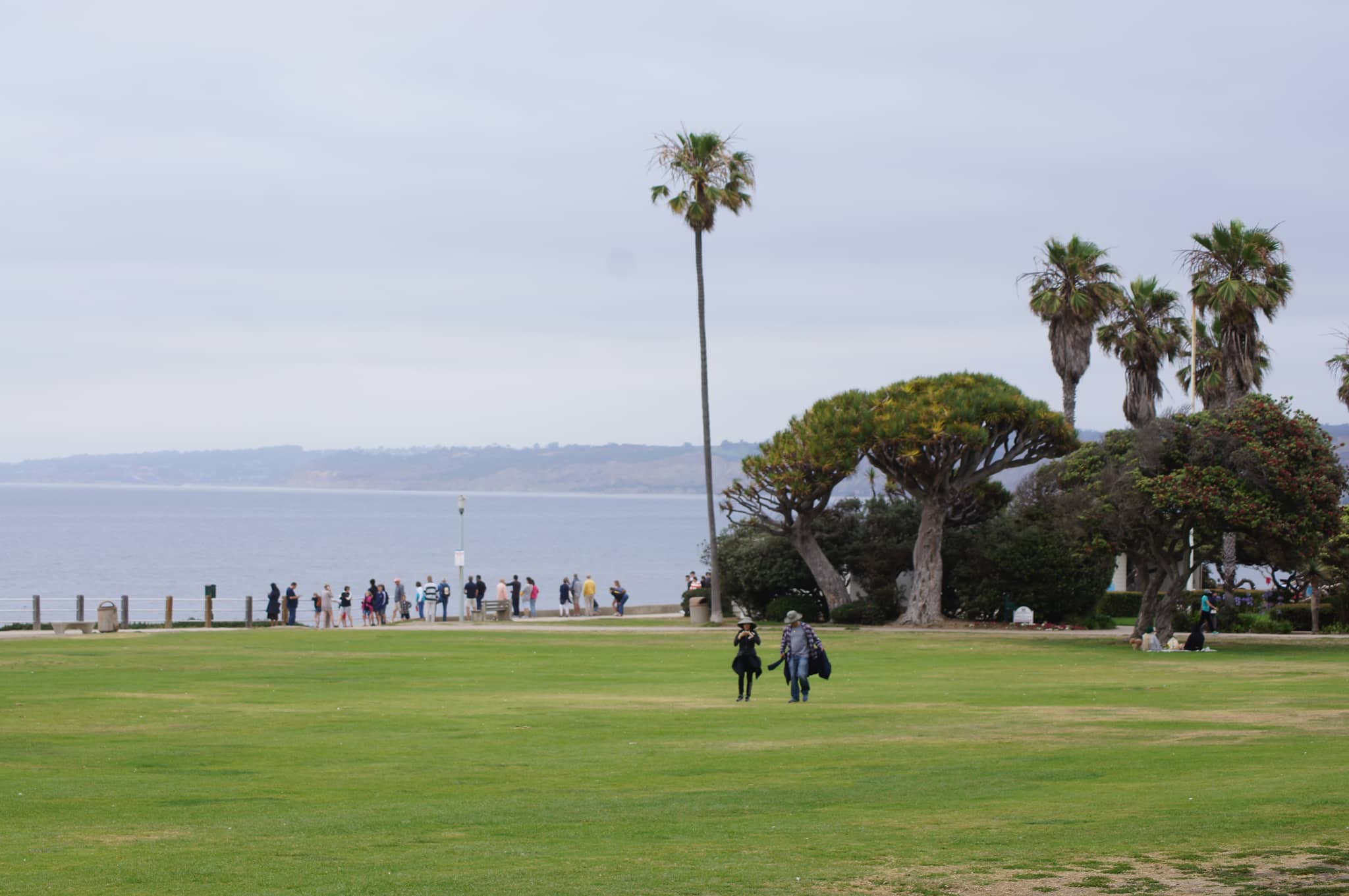 Panoramic Ocean Vistas