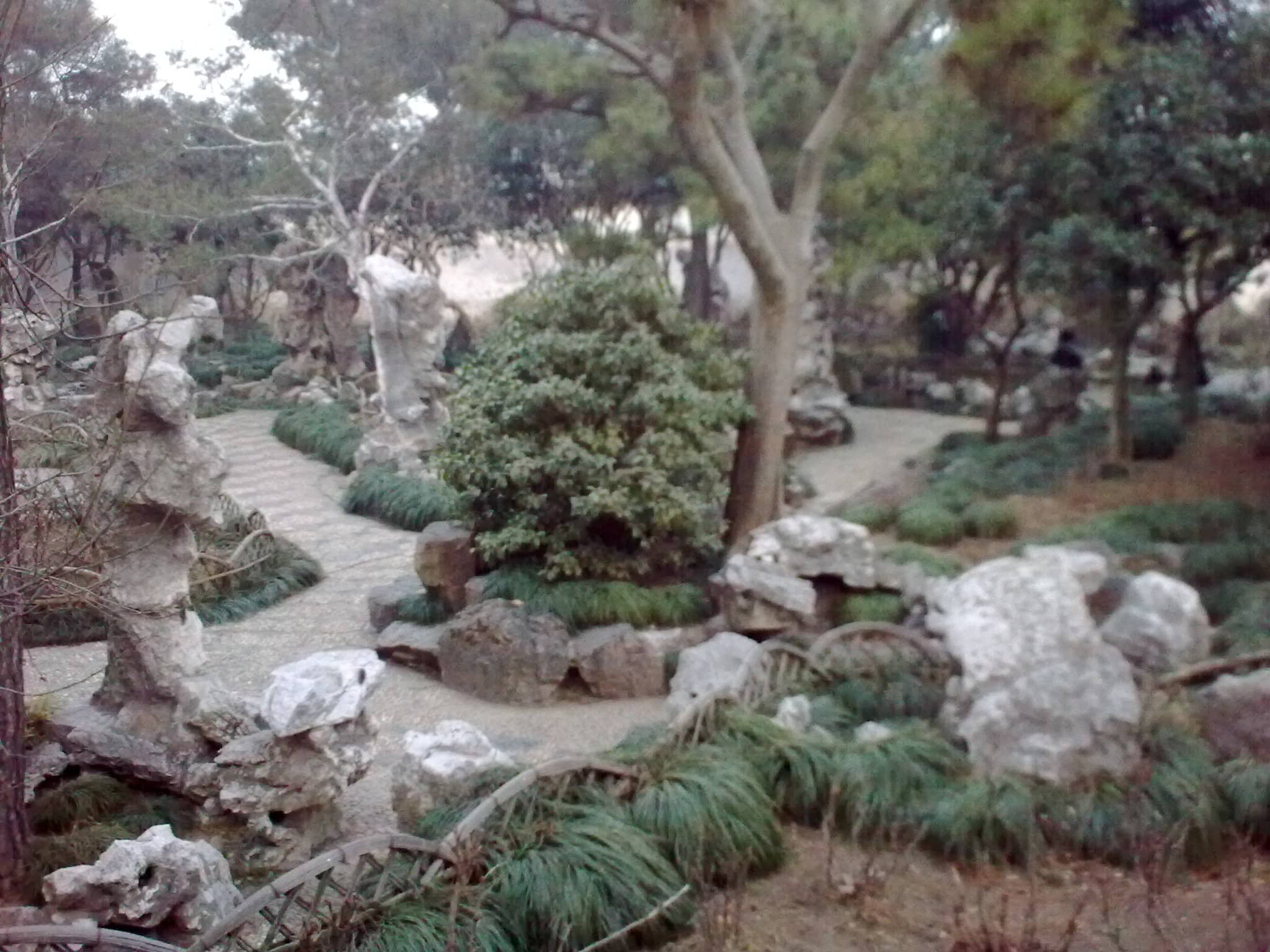 Intricate Rock Formations