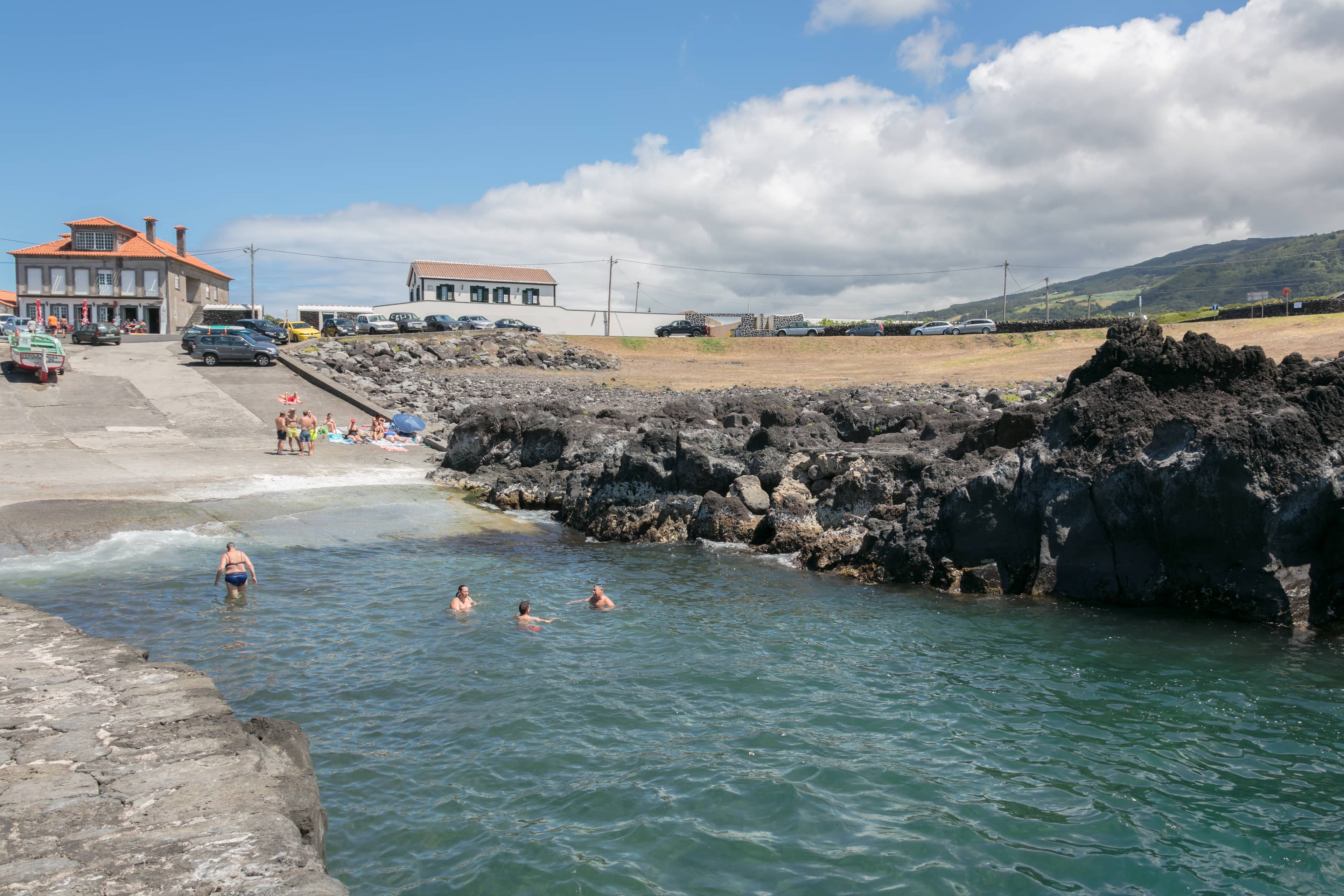 Natural Pool Serenity