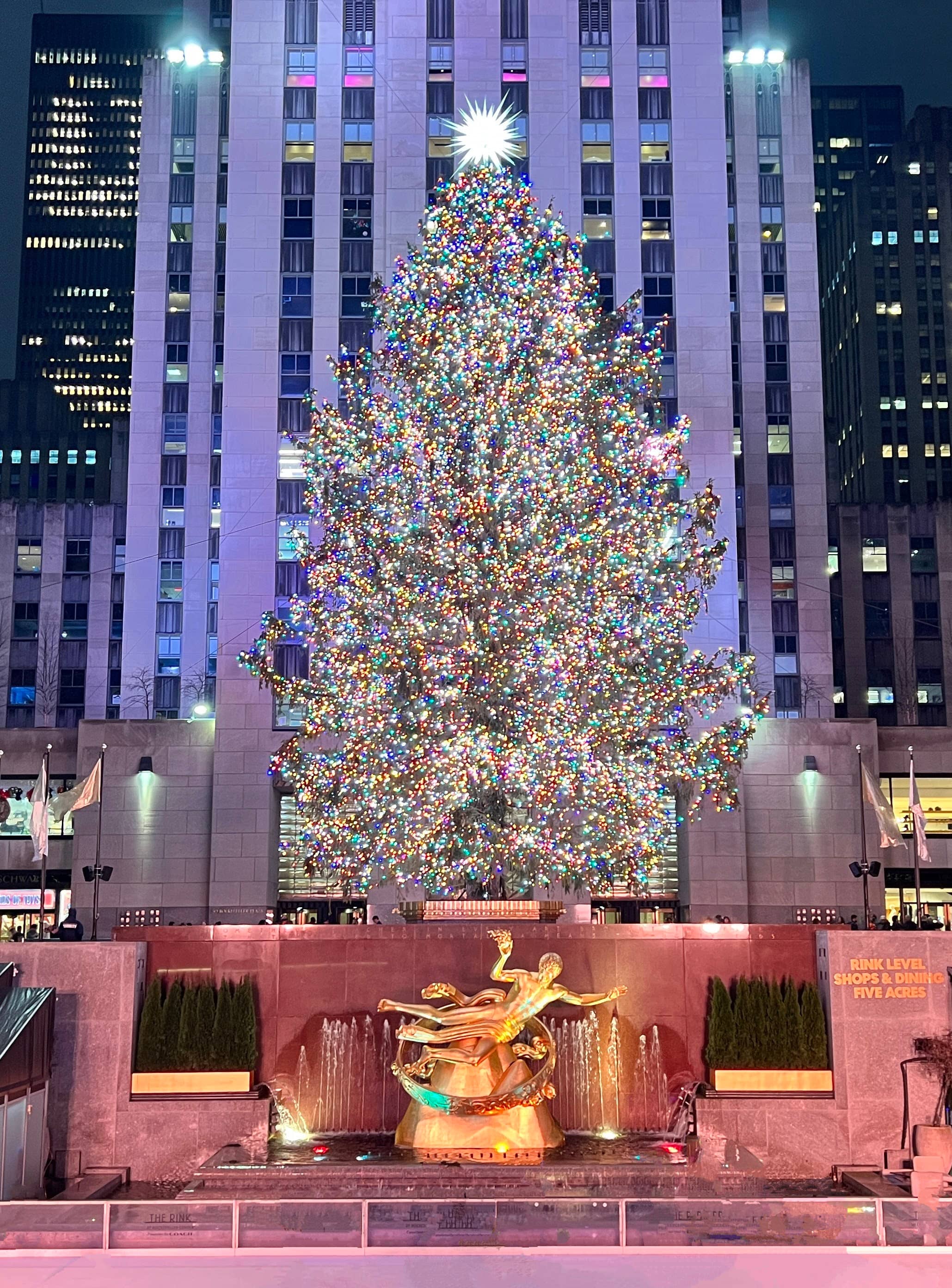 Rockefeller Center Christmas Tree