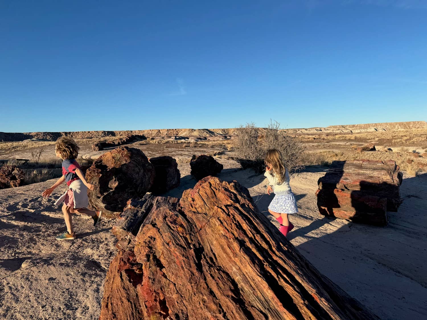 Petrified Wood Loop