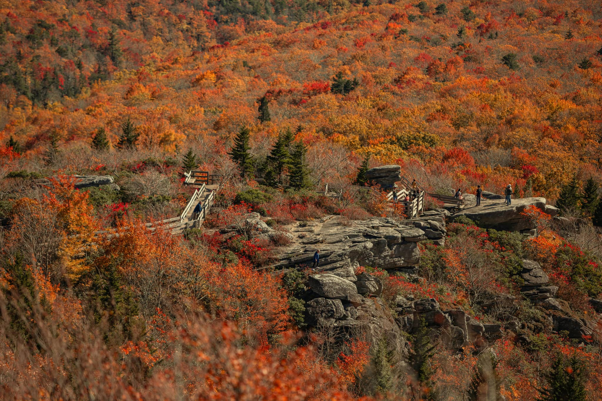 Rough Ridge Trail