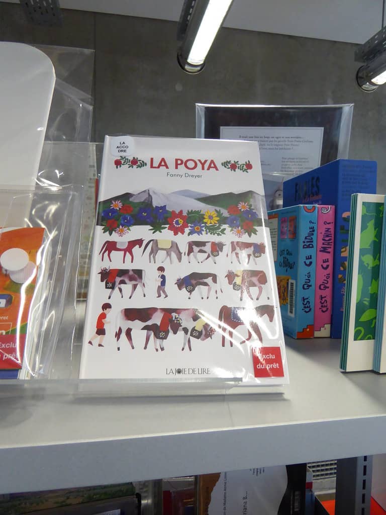 Diverse Media Collections