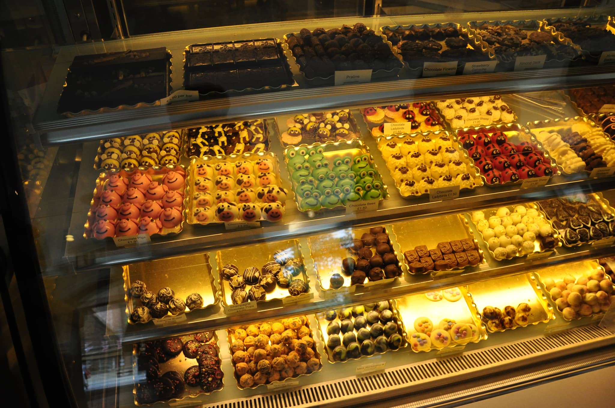 Interactive Chocolate Tasting