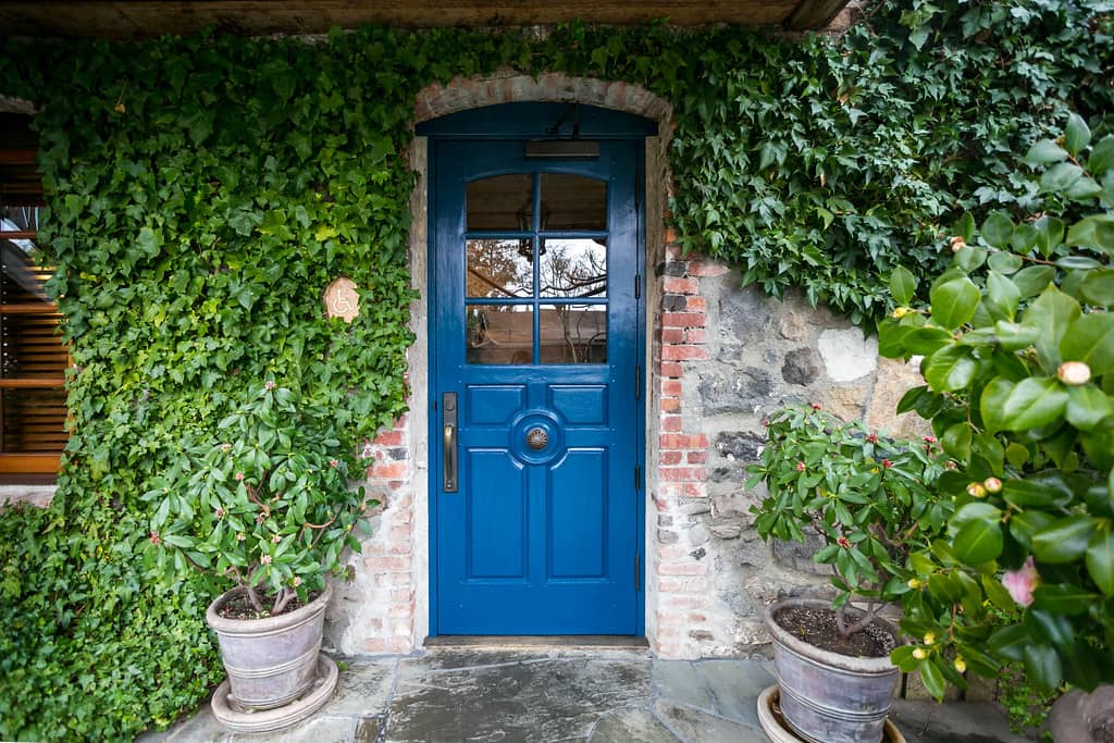 The Blue Door