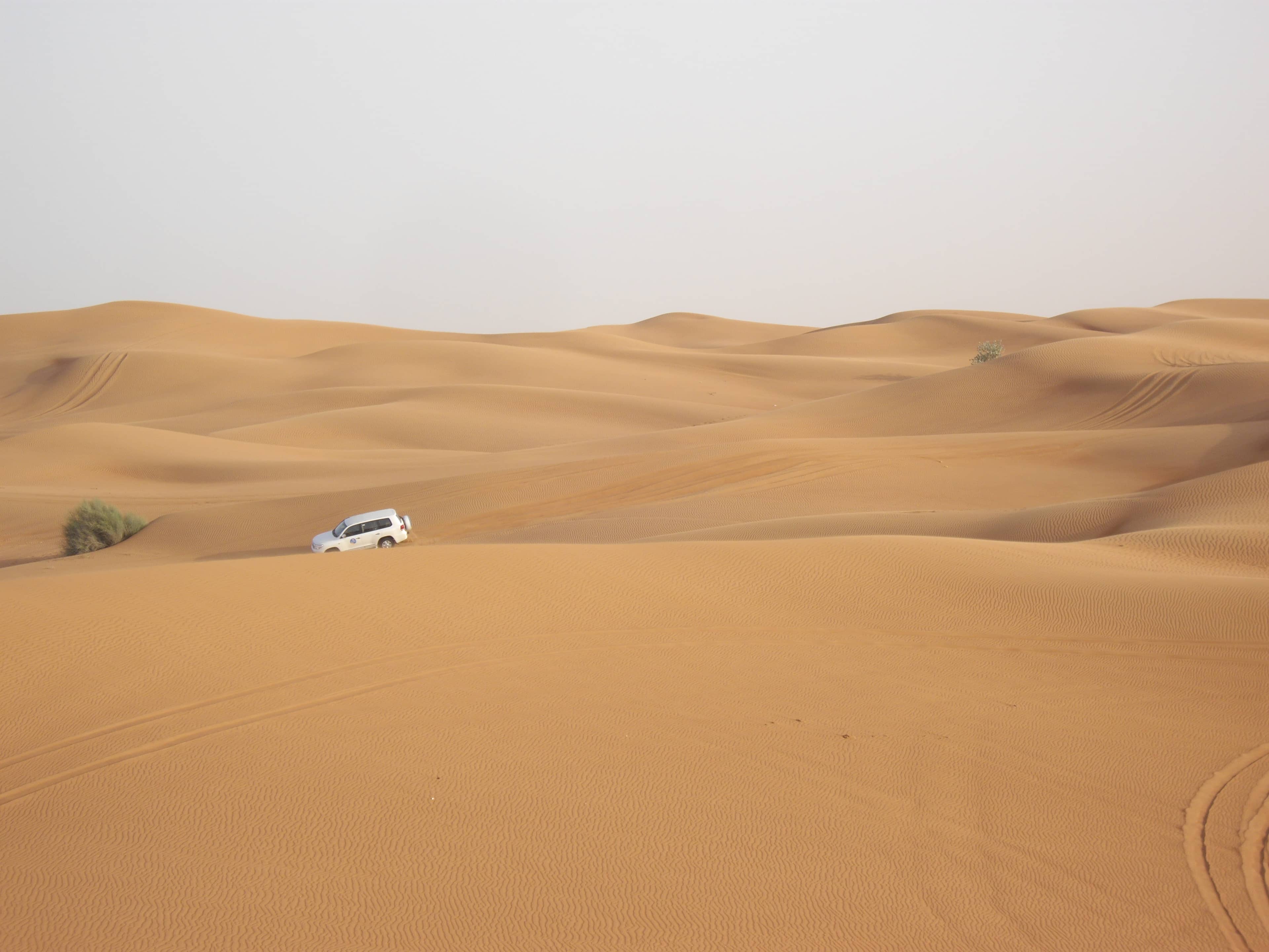 Overnight Desert Camp