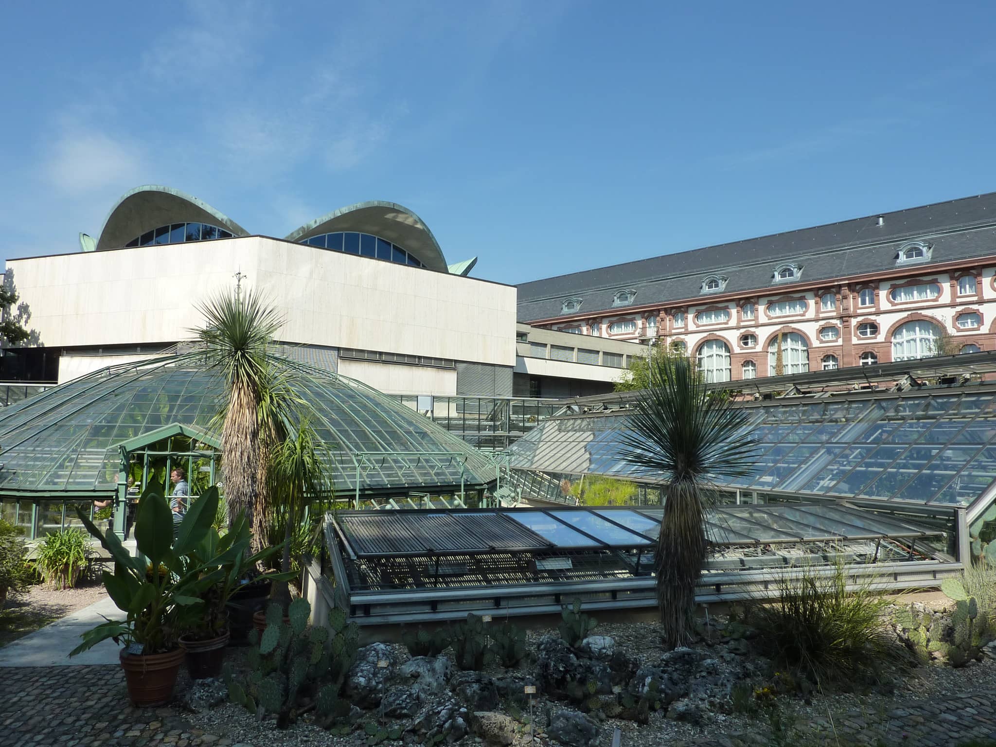 Botanical Garden Oasis