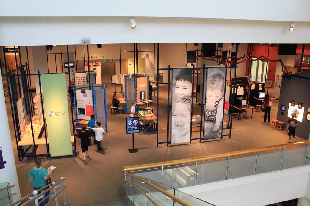 Human Body Gallery