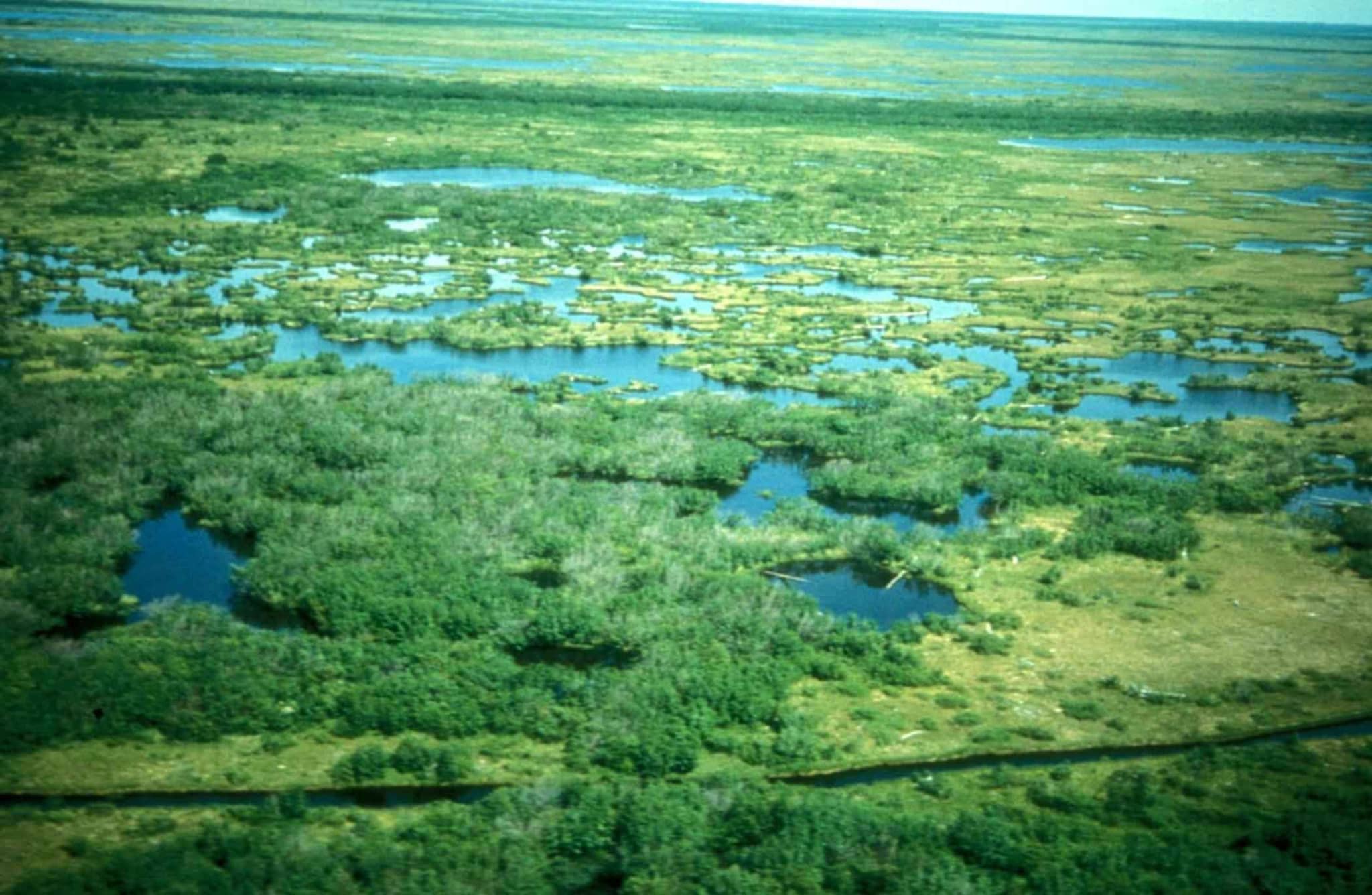 Diverse Ecosystems