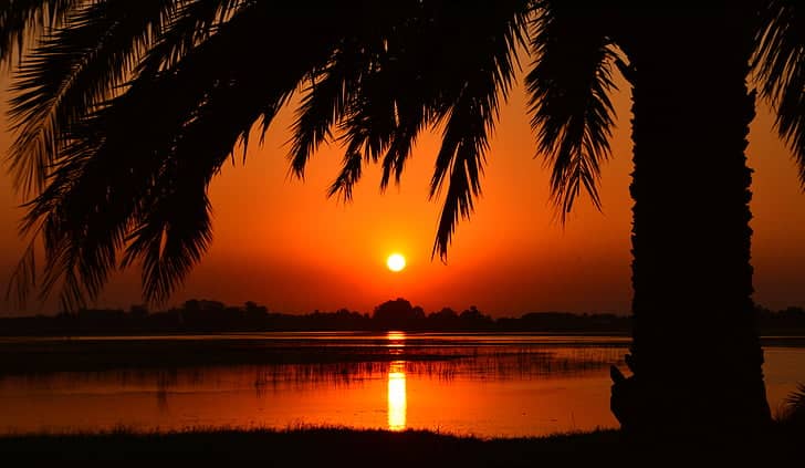 Sunset Views & Local Entertainment