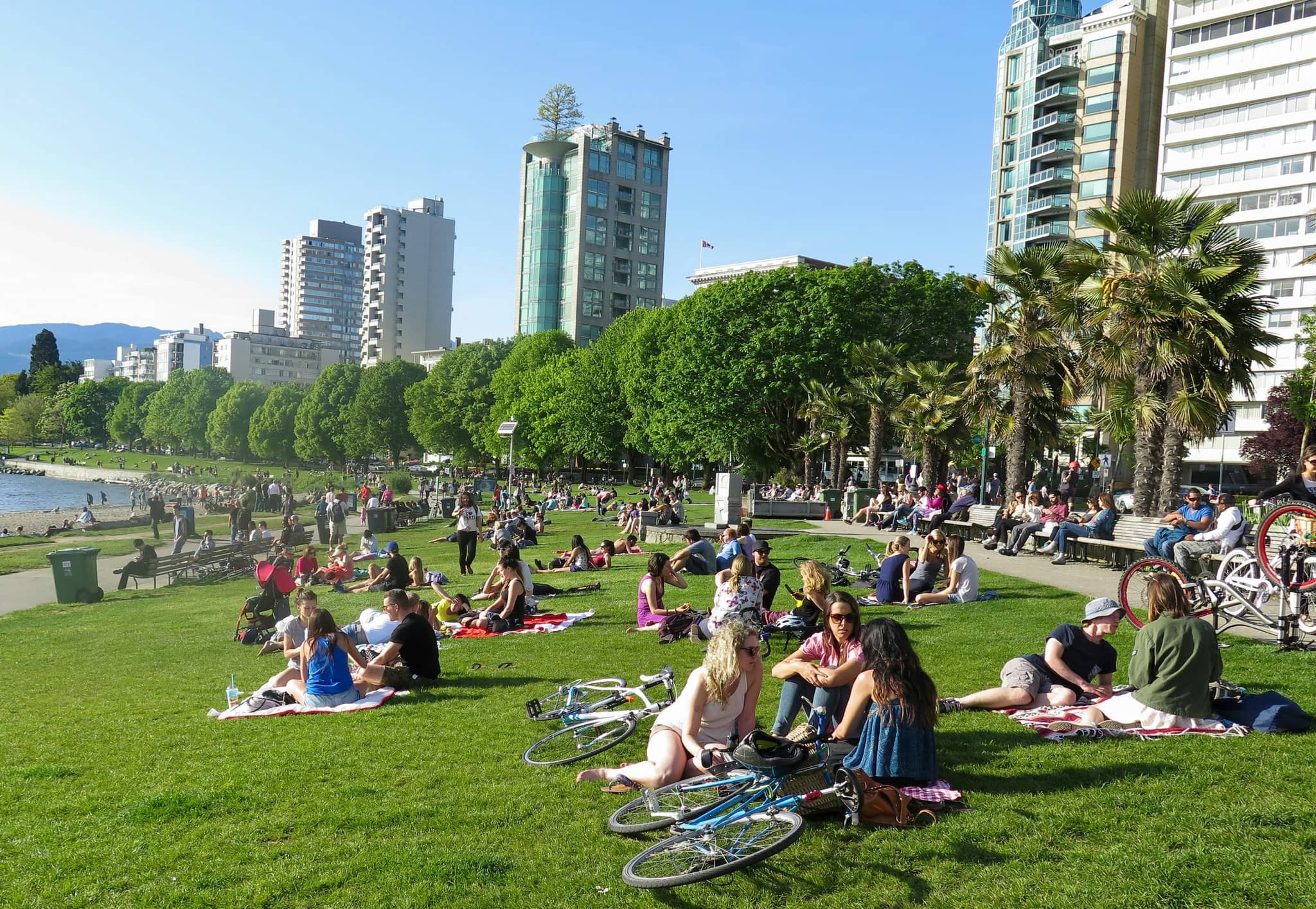 Sandy Beach & Open Lawn