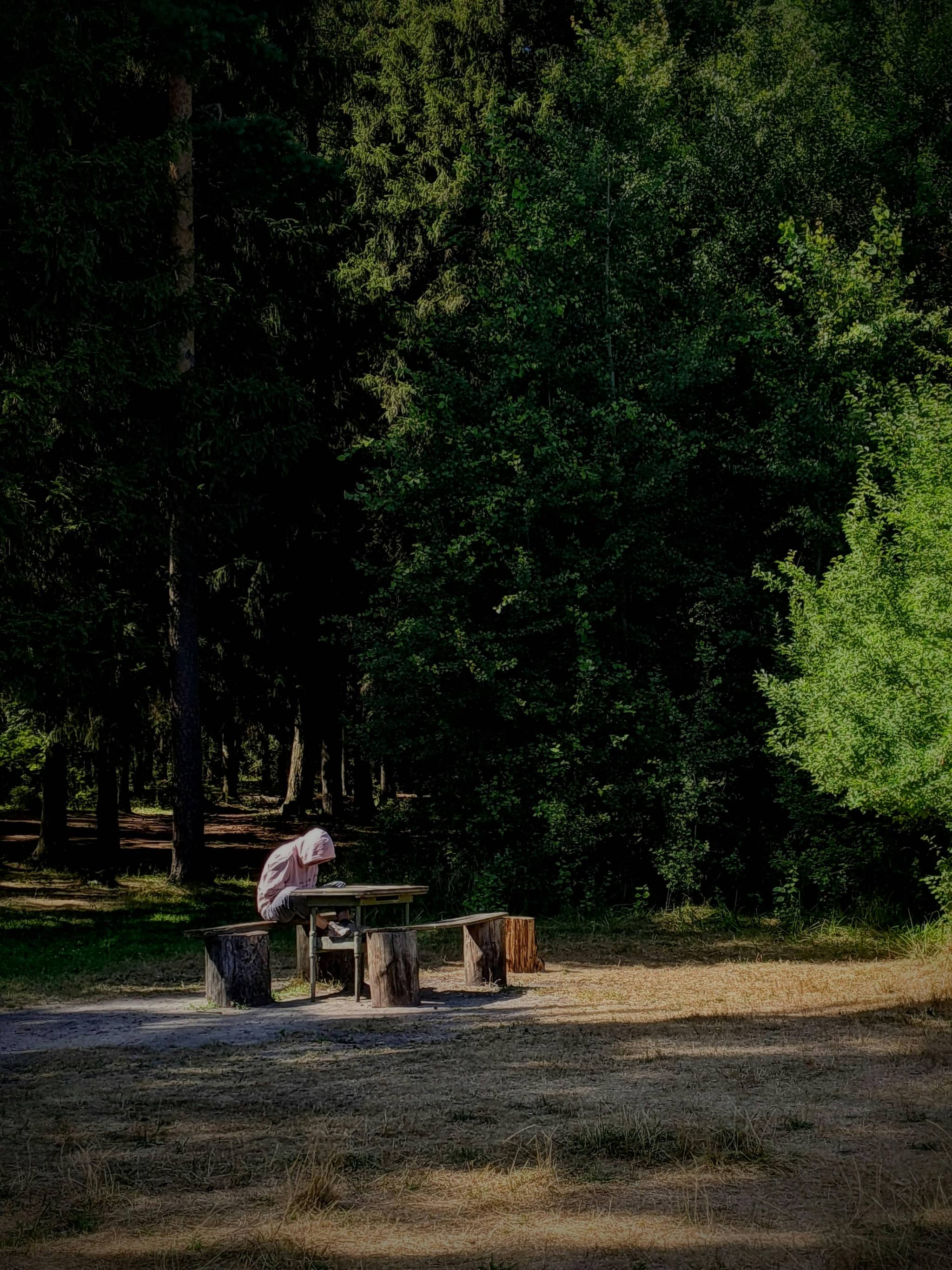 Picnic Spots