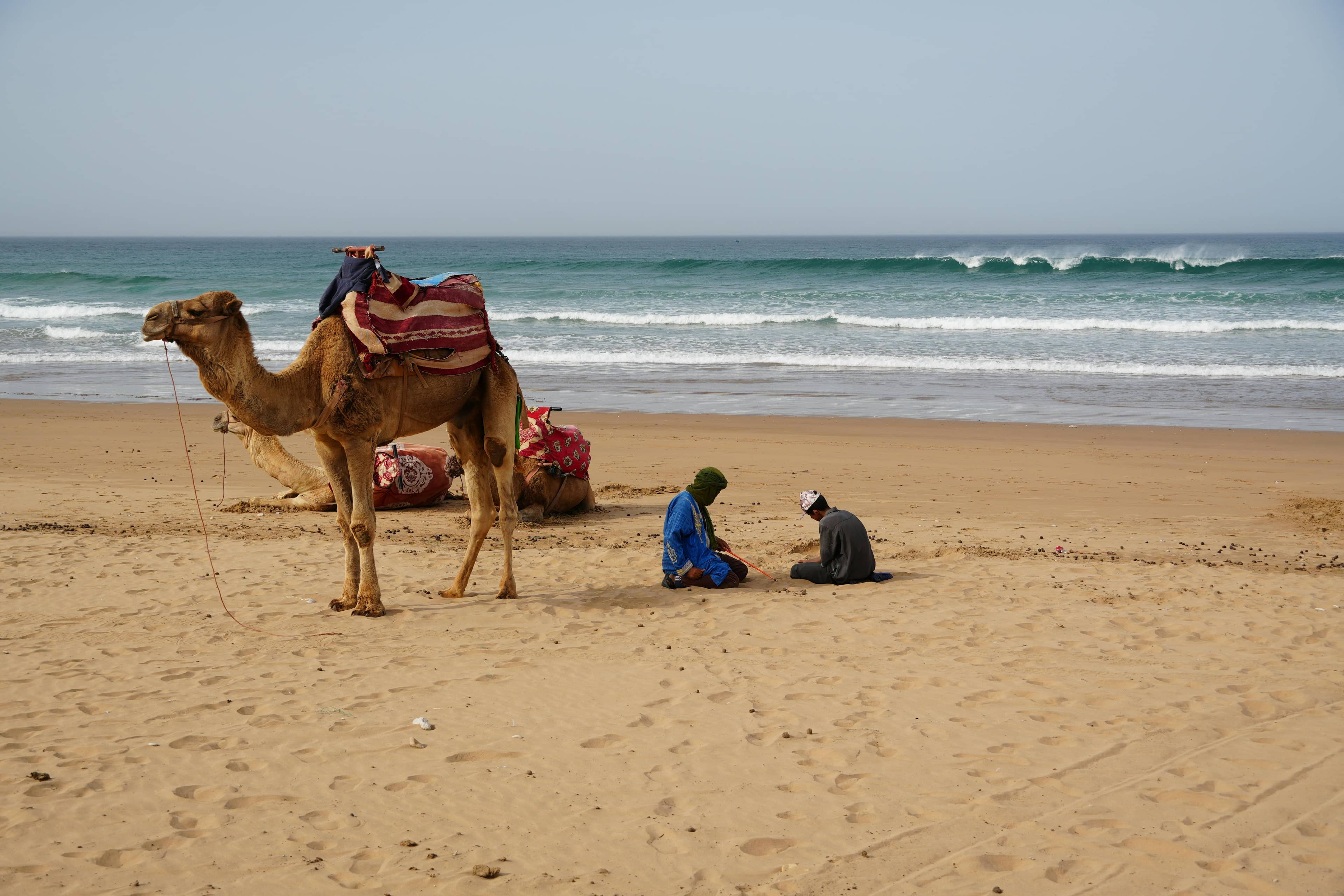 Camel Ride to Sand Dunes
