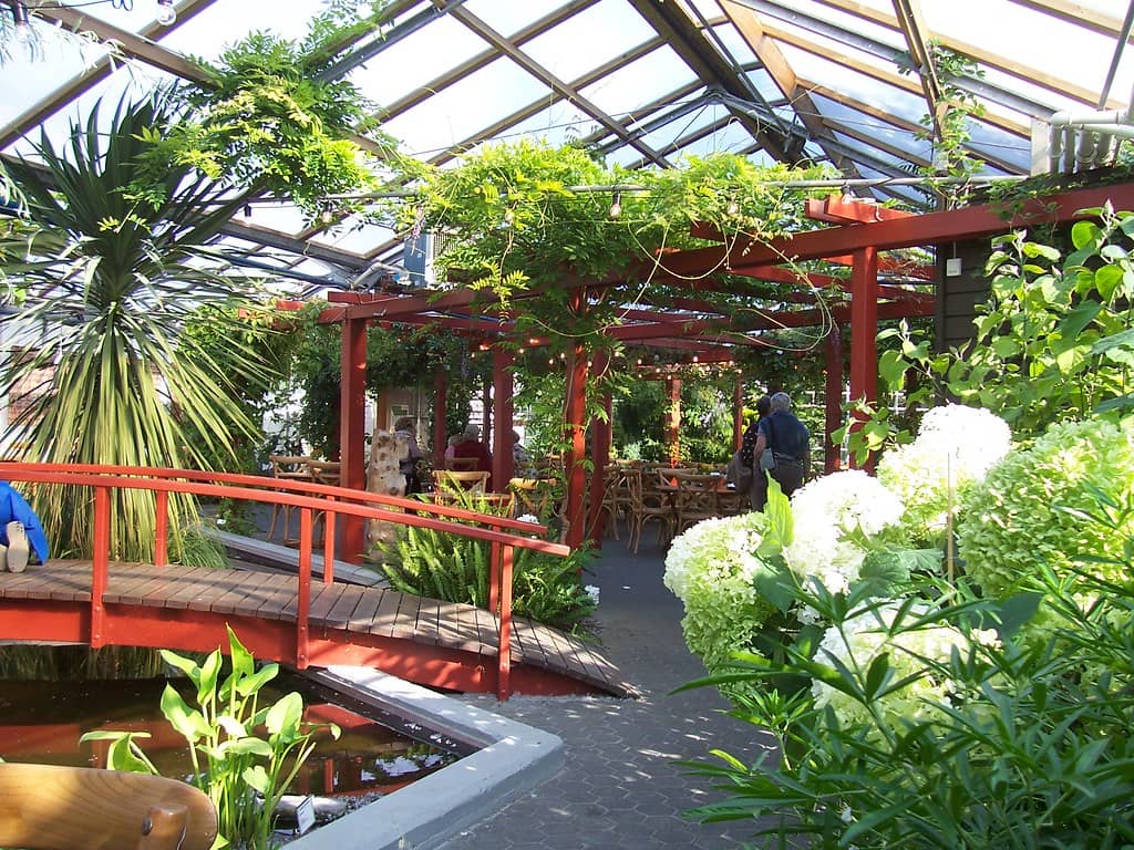 Flora Cafe