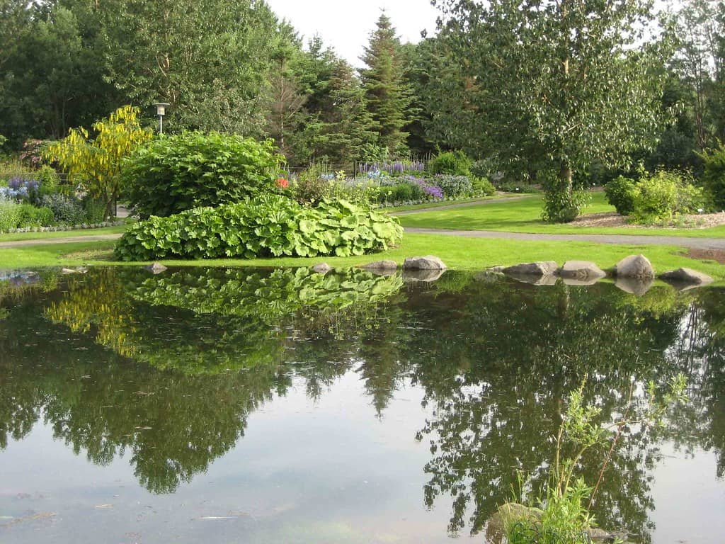 Tranquil Walking Paths