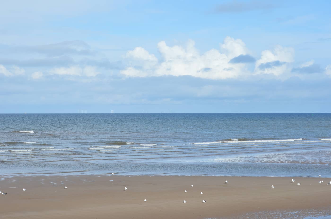Coastal Views