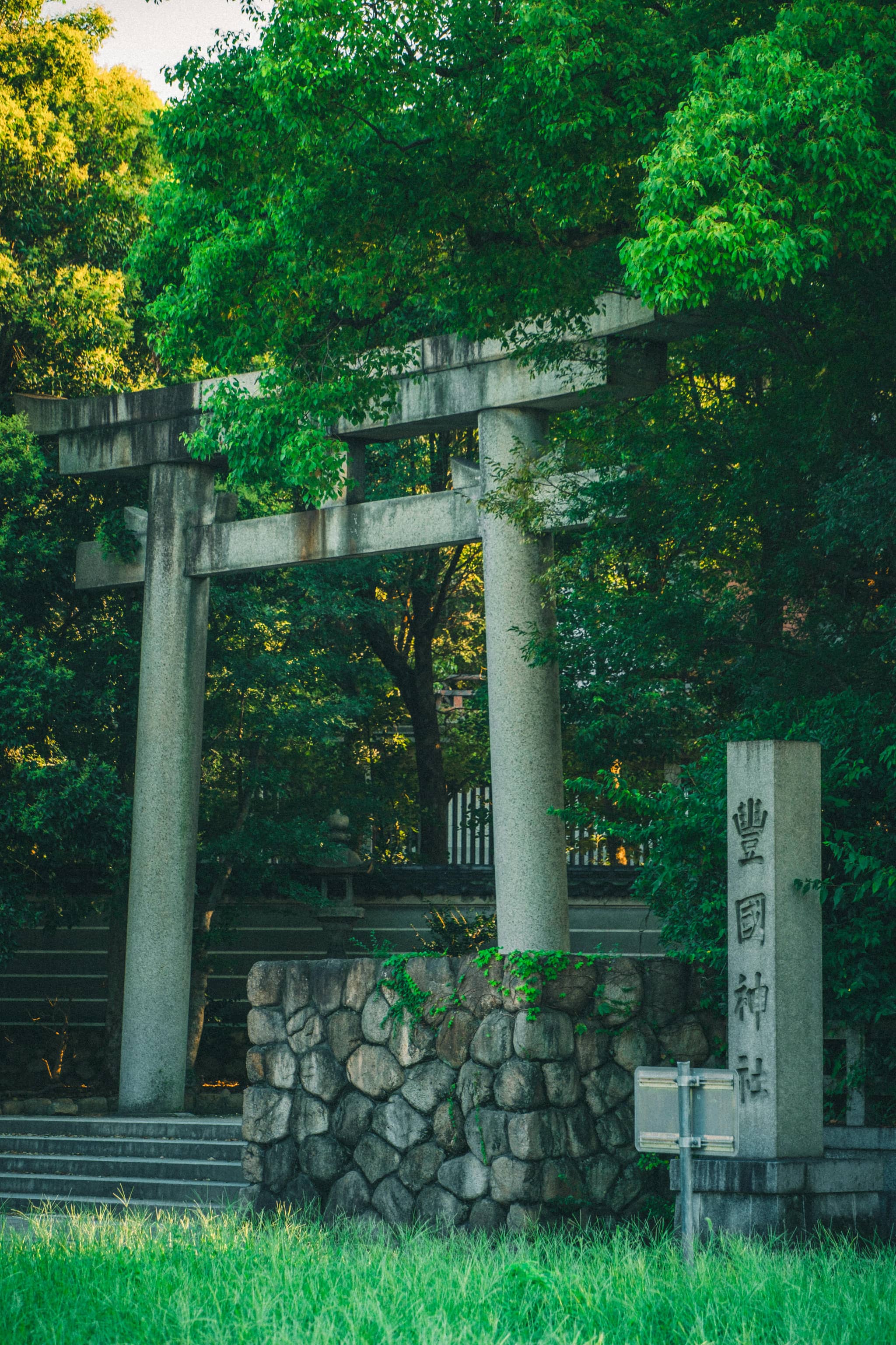 Ancient Plant Garden