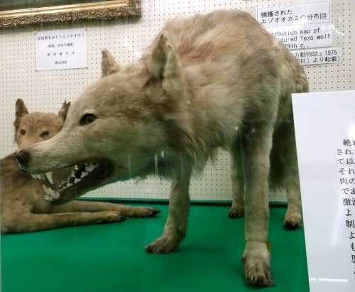 Diverse Scientific Collections