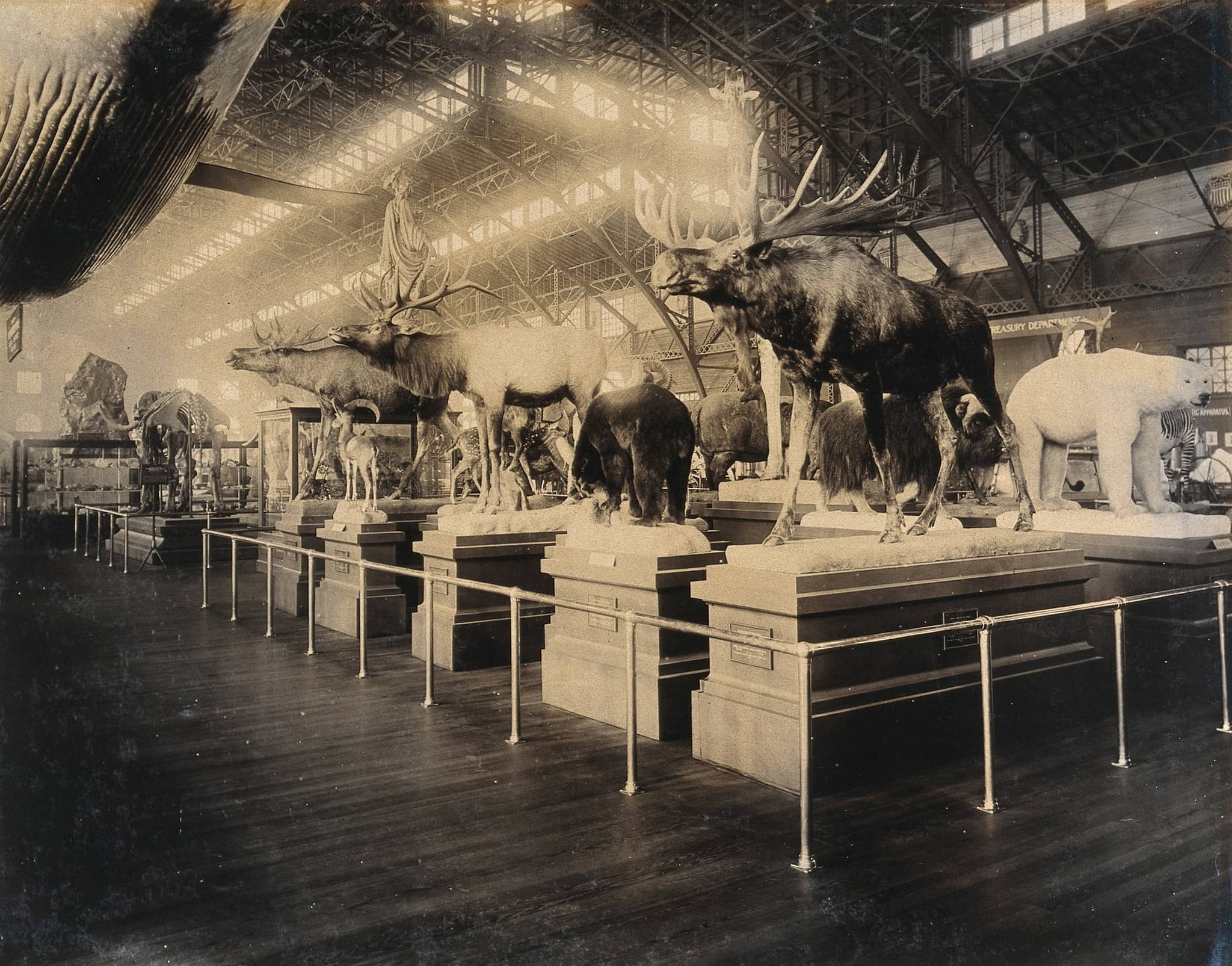 Collected Exhibit