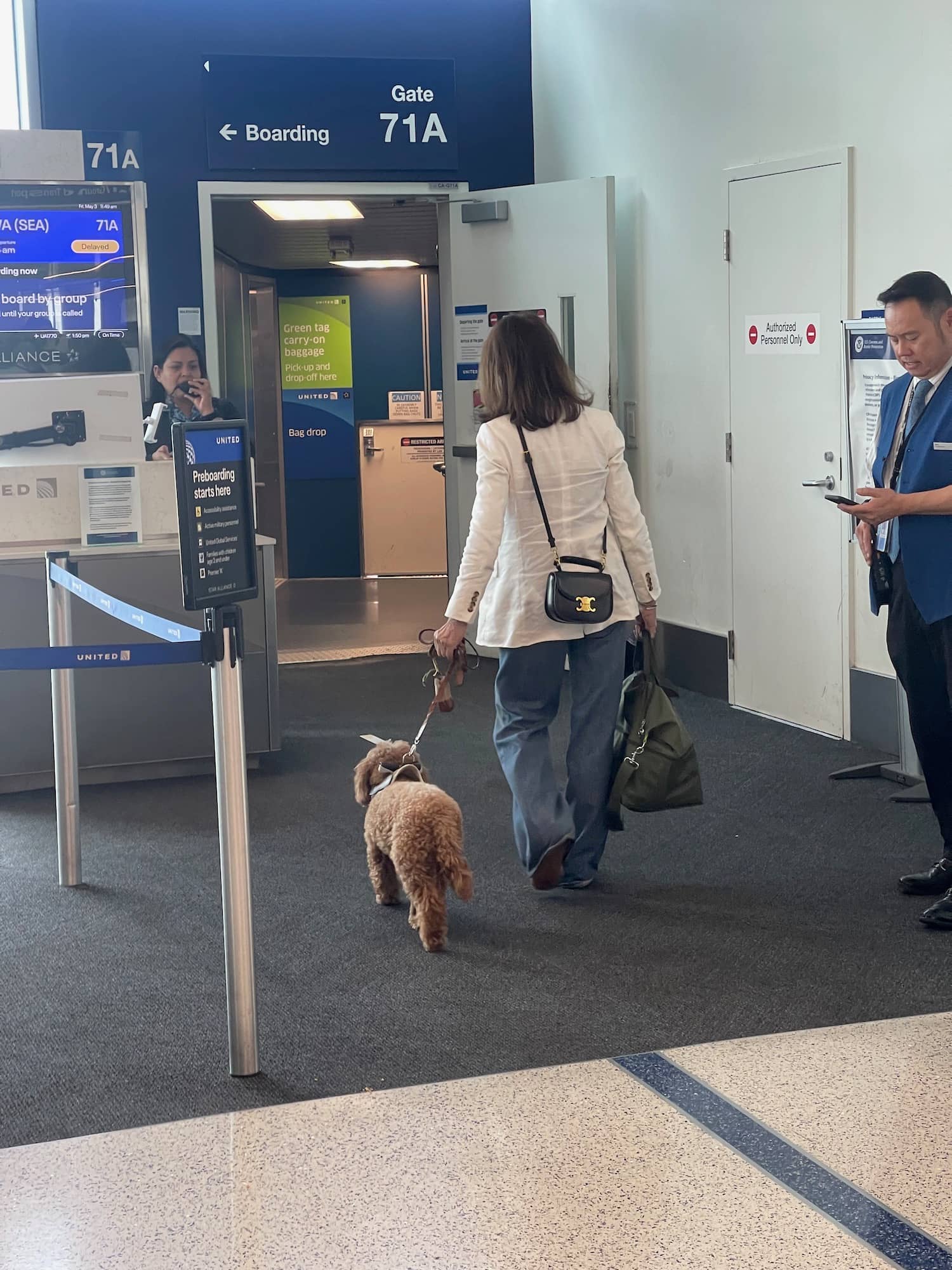 Dog-Friendly Haven