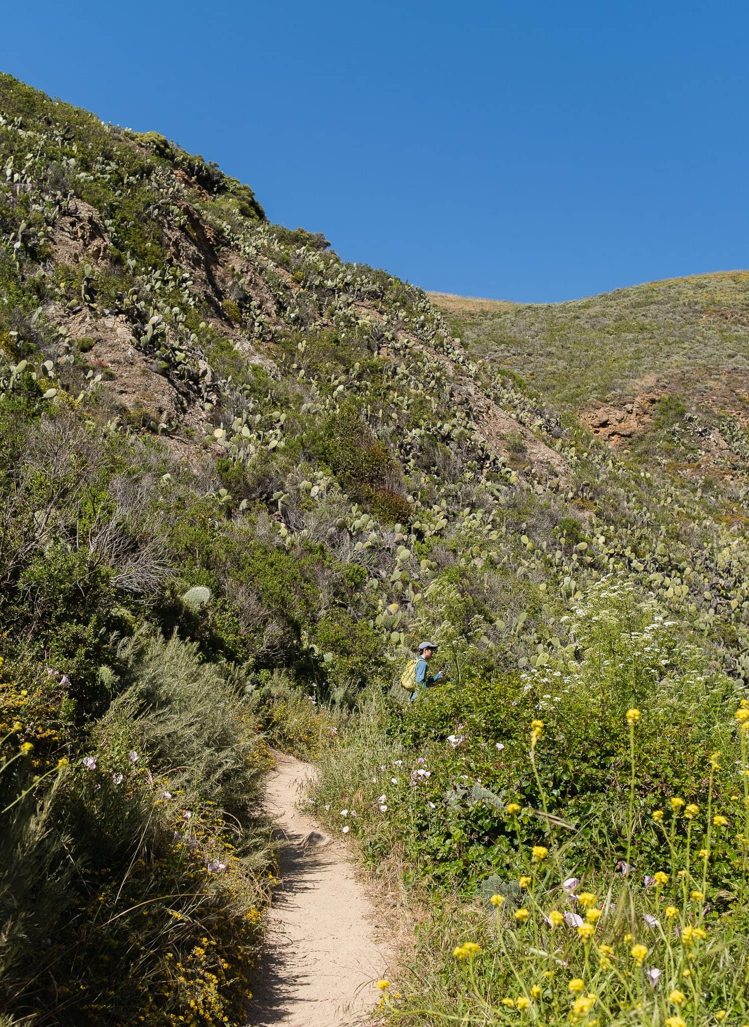 Soberanes Point Trail