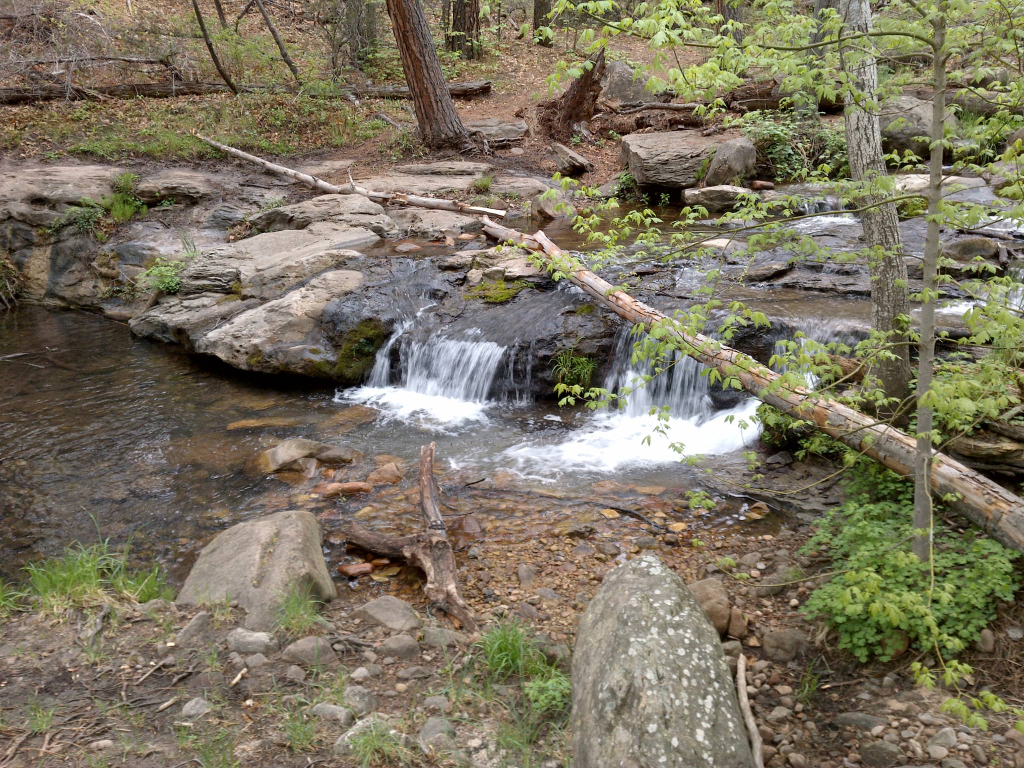 Horton Creek Trail